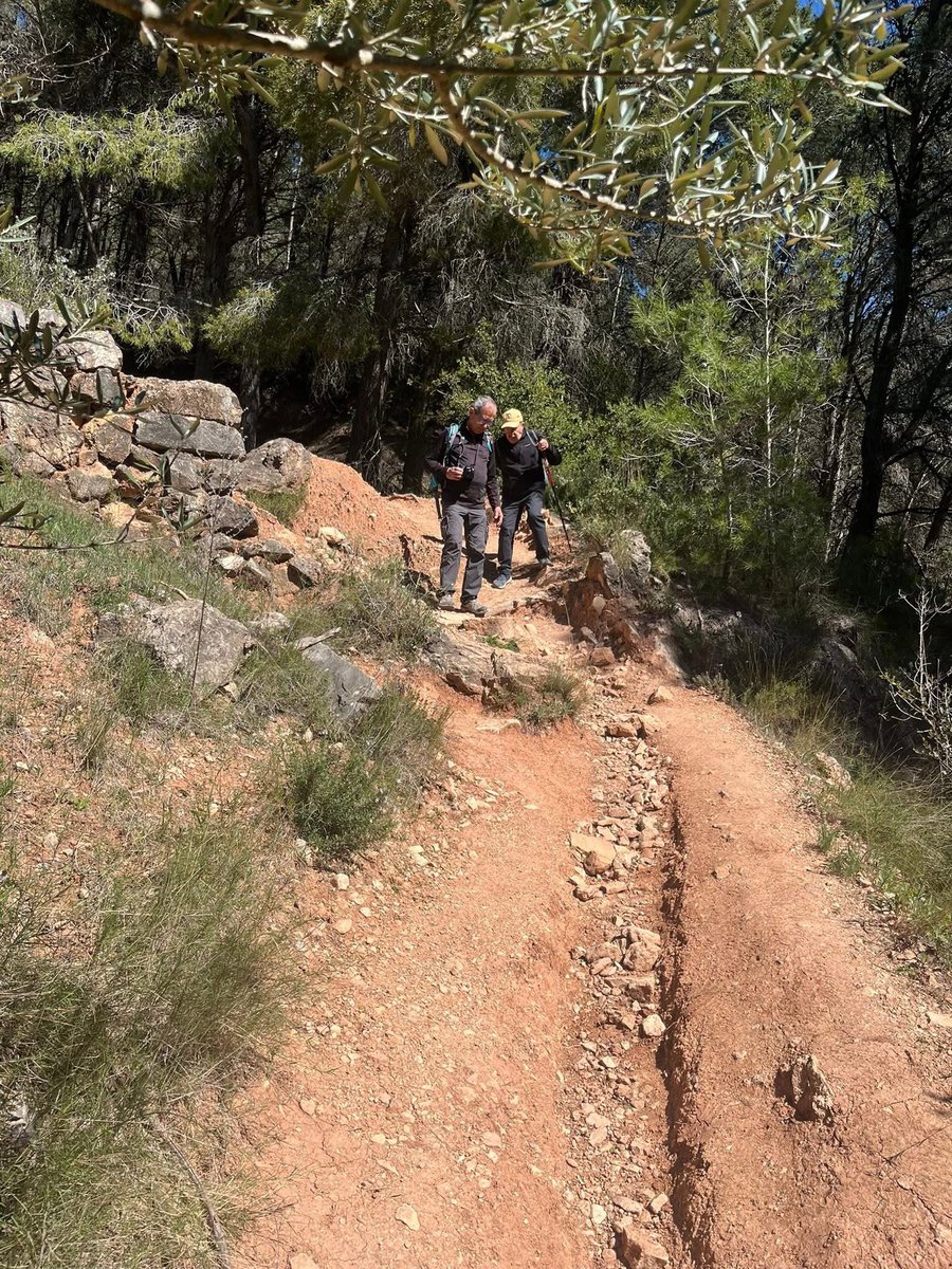 aamp.cat tweet media