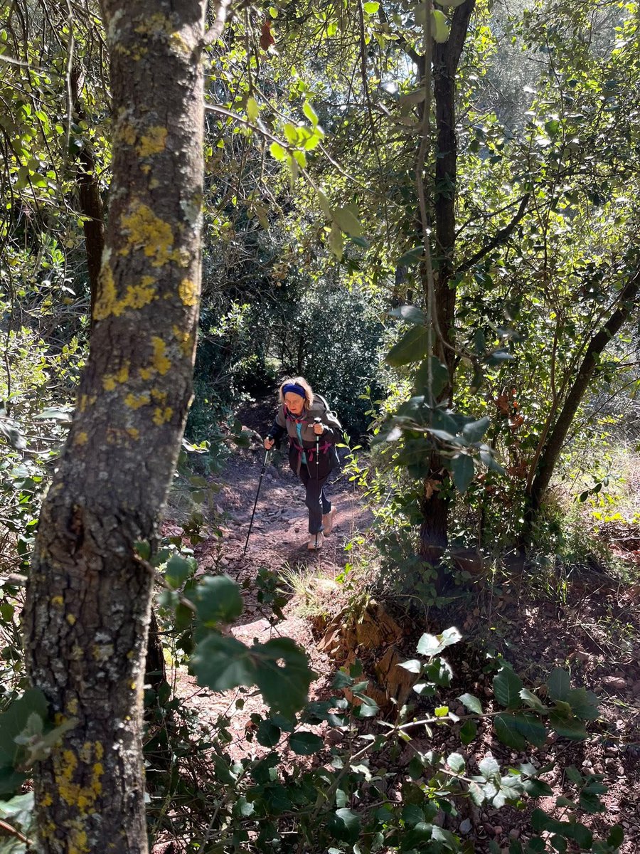 aamp.cat tweet media