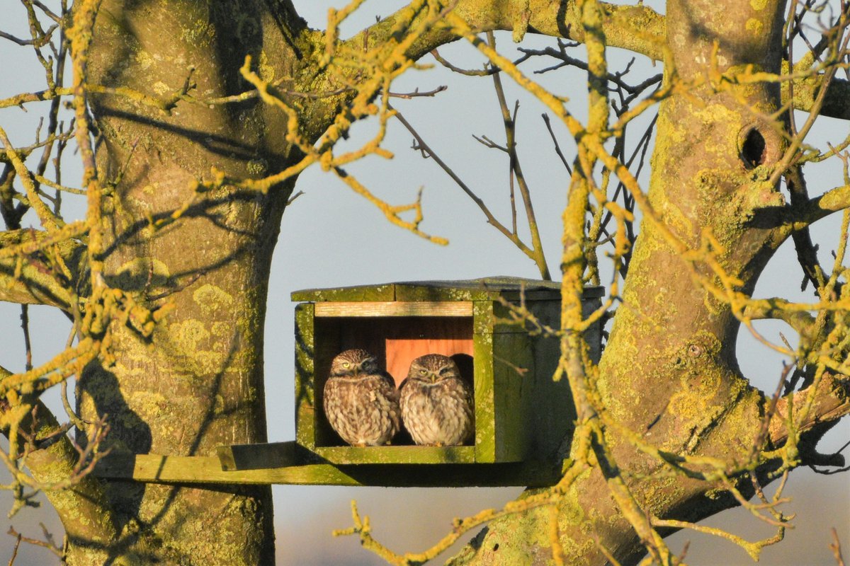 Liefde is: Samen genieten van het voorjaars zonnetje # Ravenswaaij <a href="/weerverteller/">Weerverteller.nl</a> <a href="/weermanrobert/">➡️ Robert de Vries</a> <a href="/HartvNL/">Hart van Nederland</a> <a href="/MeteoVoorne/">Weerman Stefan</a> #steenuiltjes