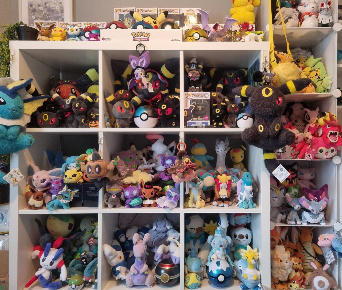 Shining_shadows tweet media