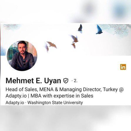 Gökçe Katun tweet media