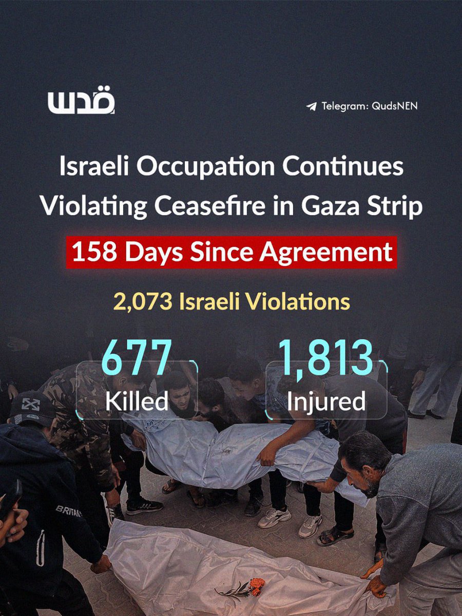 Quds News Network tweet media