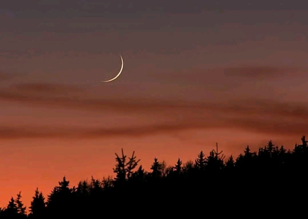 Ishaq Samaila tweet media