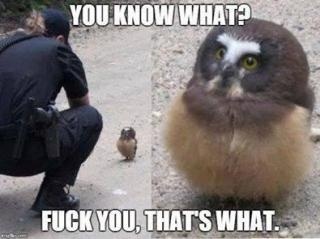 ZnullMask tweet media