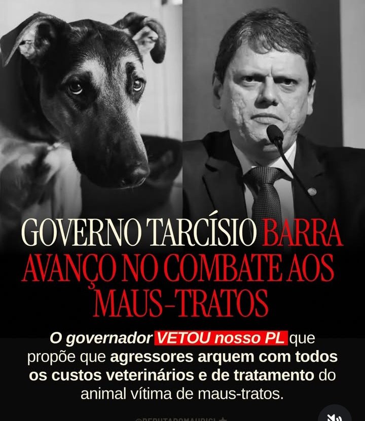 lola 🇮🇷 tweet media