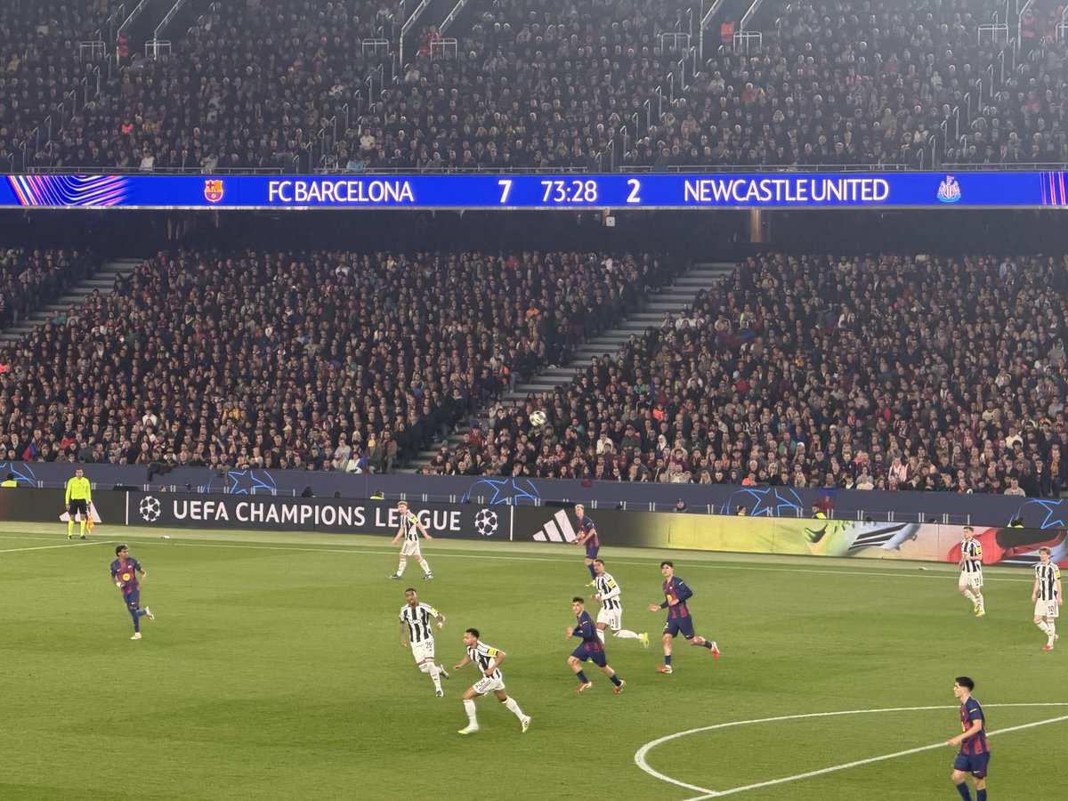 Neal 🇦🇺 tweet media