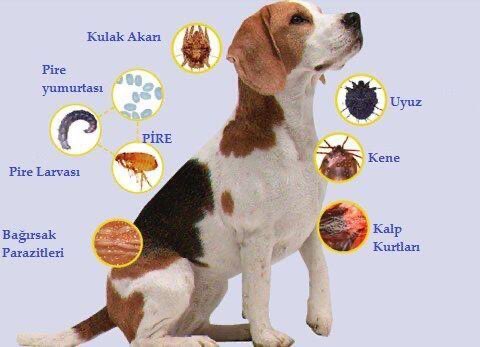 Ra'd An Nx tweet media