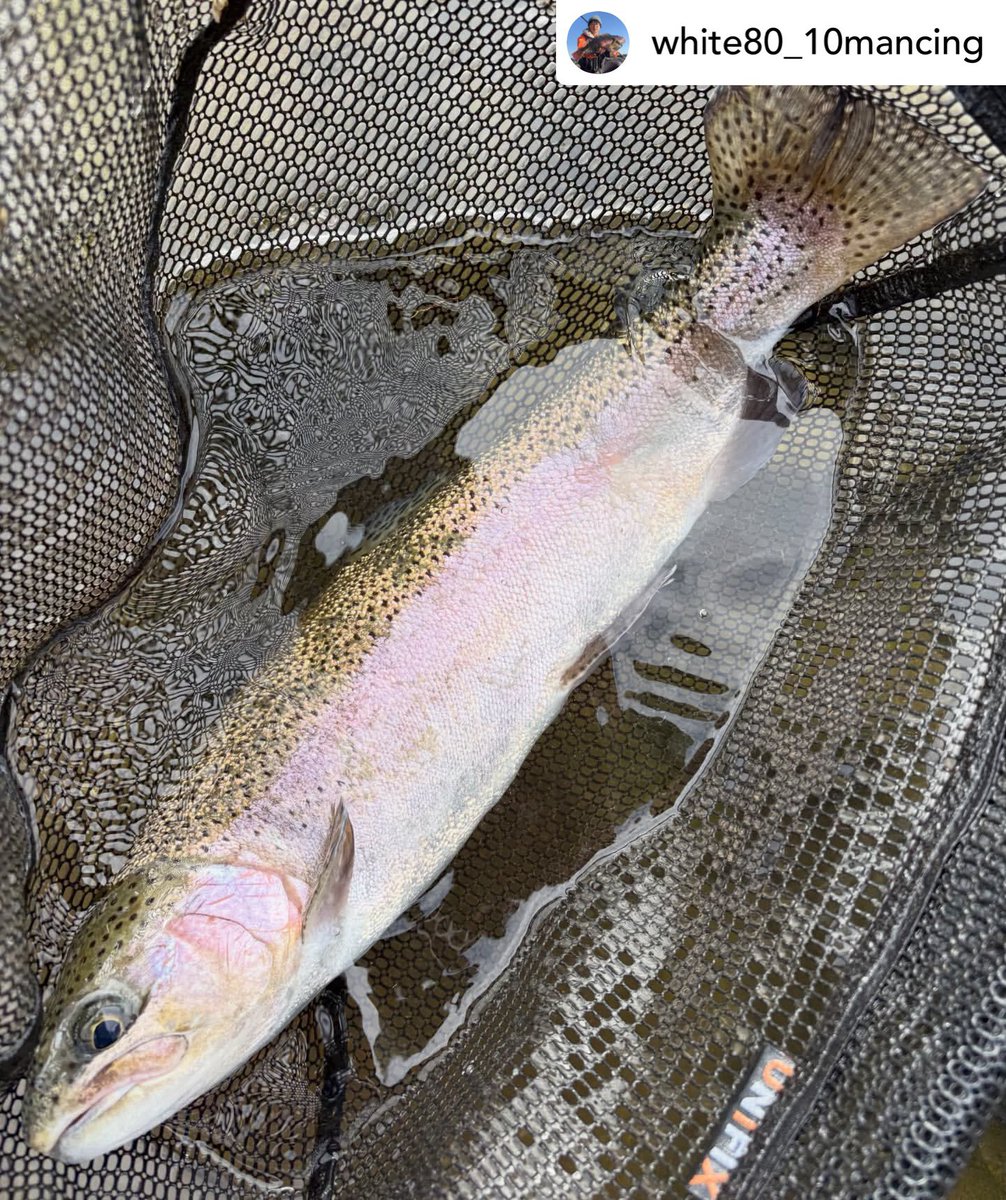 hakone_hayakawa's tweet image. #repost_instagram • white80_10mancing
・・・
今日も短時間早川釣行🏞️
いつもの場所で3匹程の魚に遊んで貰いました👍
どれも良いファイトしますねー🐟

#ニジマス
#rainbowtroutfishing 
#箱根早川でcr
・
・
・
instagram.com/p/DWApwpvEYFi/
