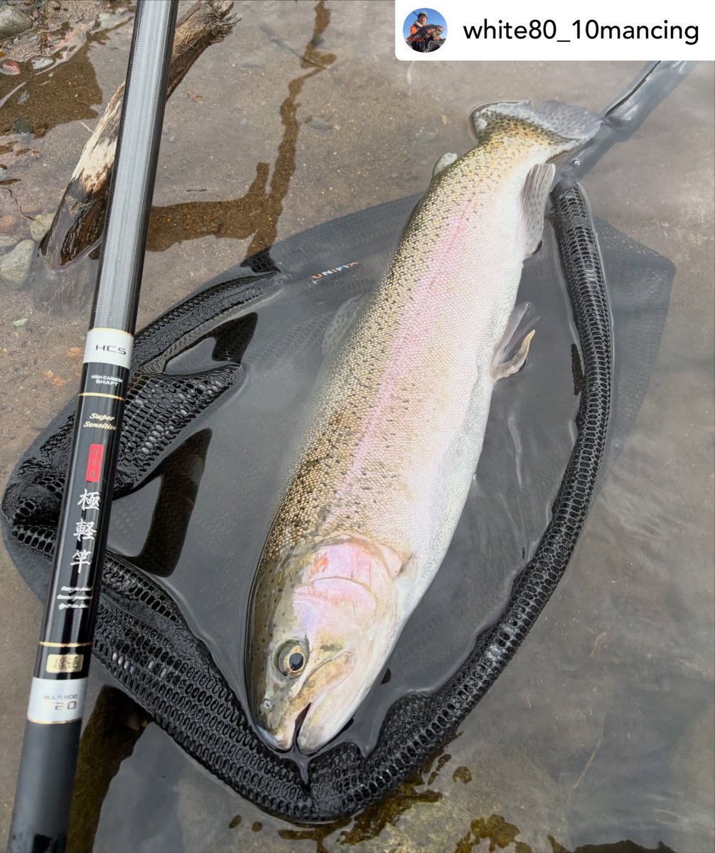 hakone_hayakawa's tweet image. #repost_instagram • white80_10mancing
・・・
今日も短時間早川釣行🏞️
いつもの場所で3匹程の魚に遊んで貰いました👍
どれも良いファイトしますねー🐟

#ニジマス
#rainbowtroutfishing 
#箱根早川でcr
・
・
・
instagram.com/p/DWApwpvEYFi/