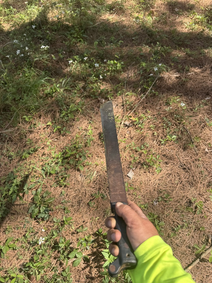 Allen Miller tweet media