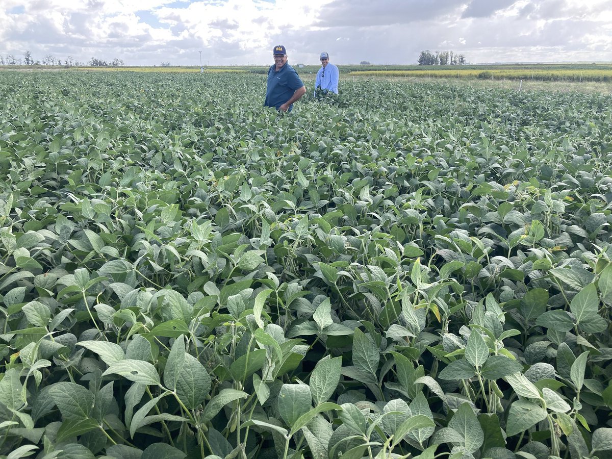 José A. Terra tweet media