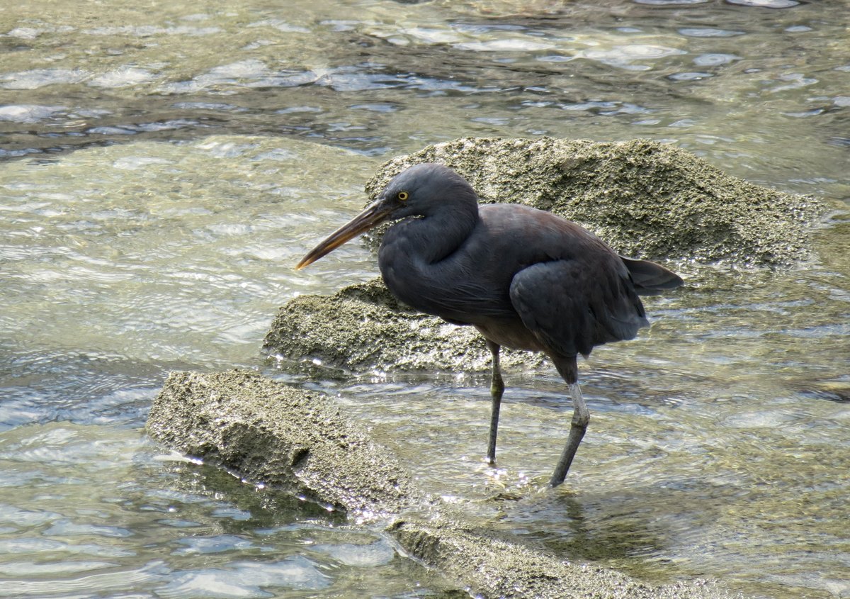 Tranquility Found tweet media