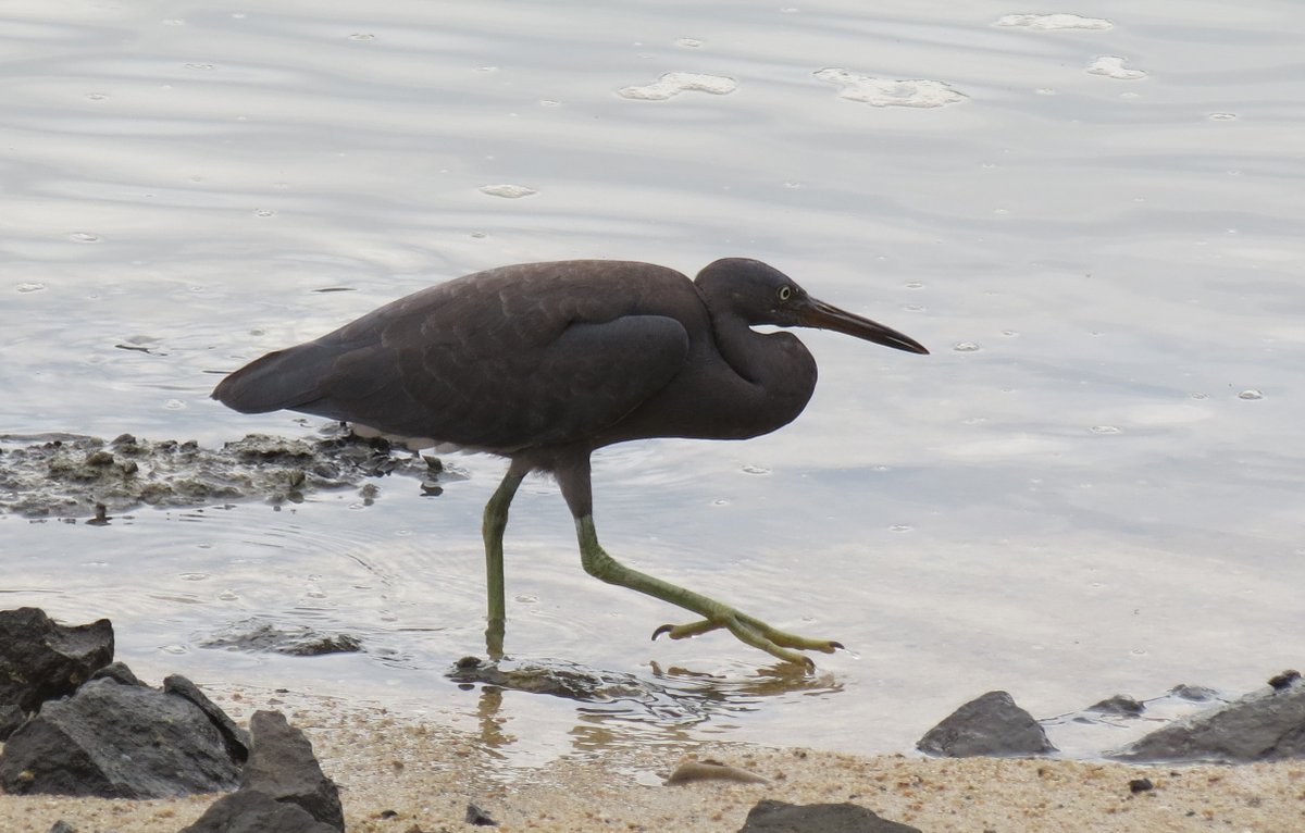 Tranquility Found tweet media