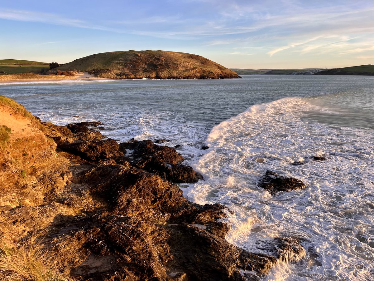 Sylvatica tweet media