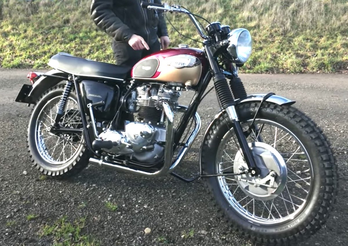 Dr Egnor tweet media