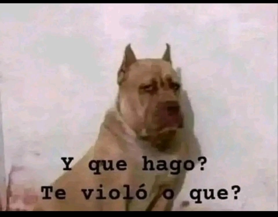 Alain Scamander tweet media