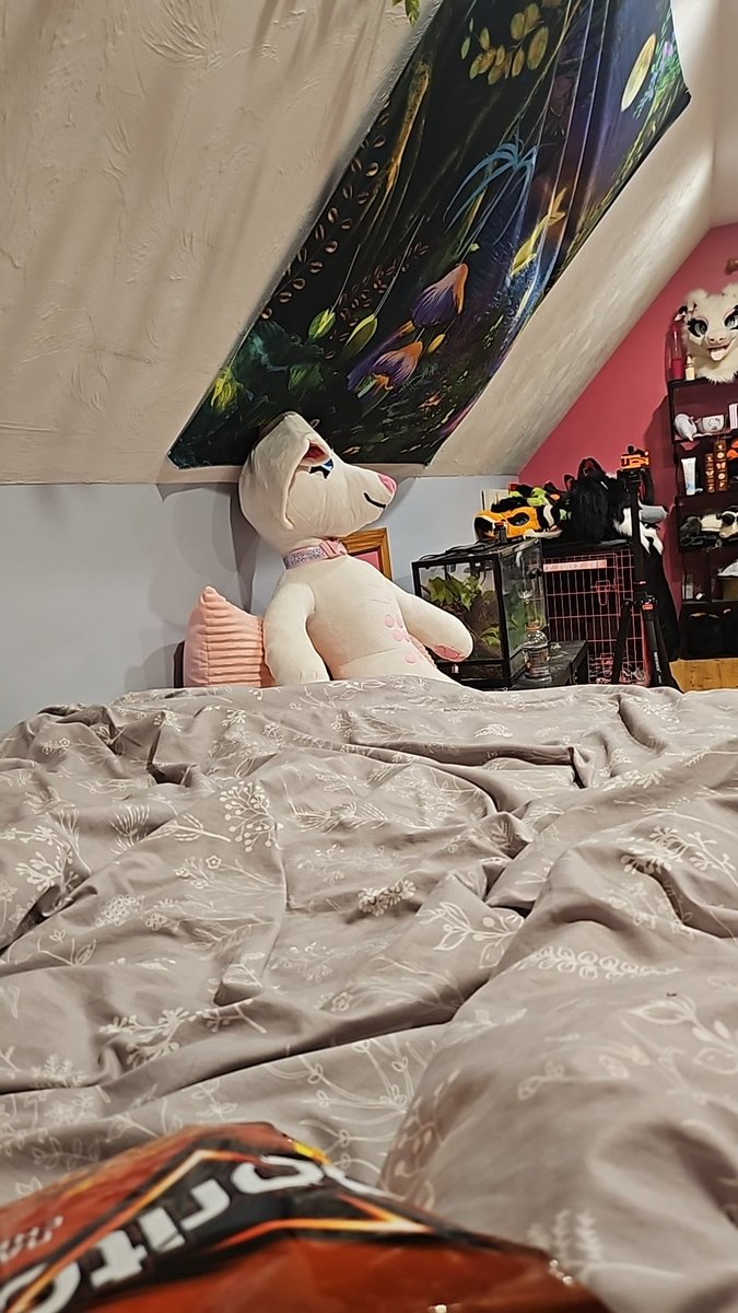 Fidget The Bat🦇 tweet media