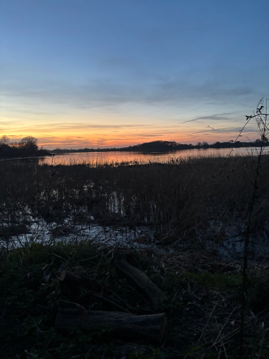 Steve Richards tweet media