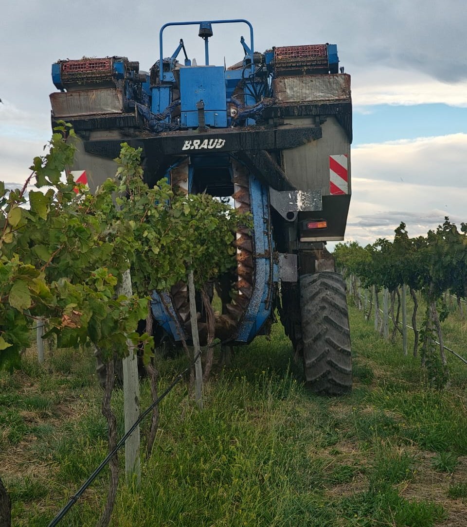 Senasa Argentina tweet media