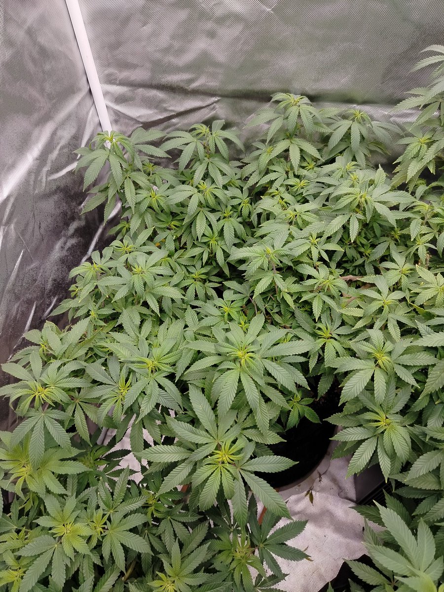 Eduardo Martínez tweet media