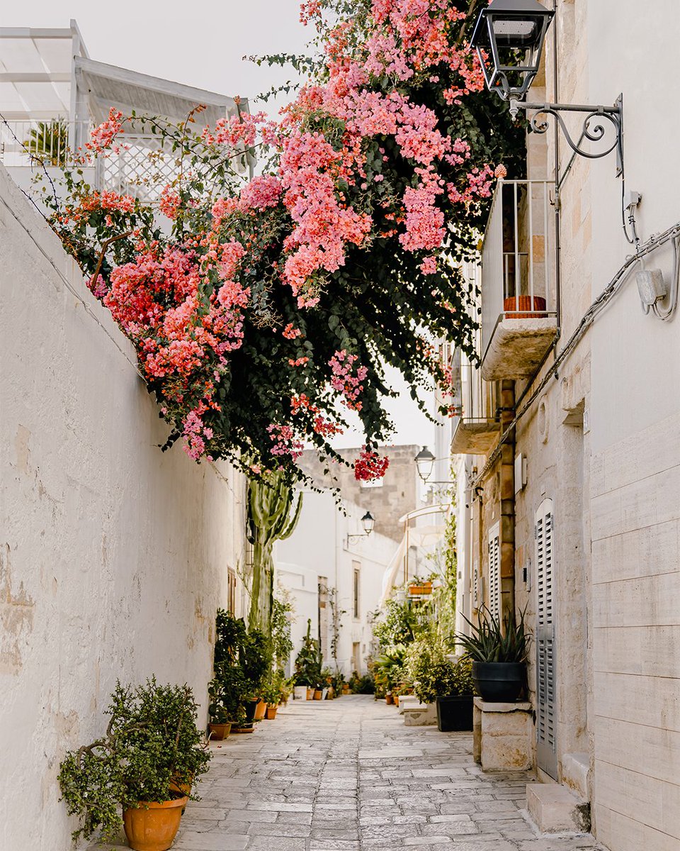 Regent Seven Seas Cruises tweet media