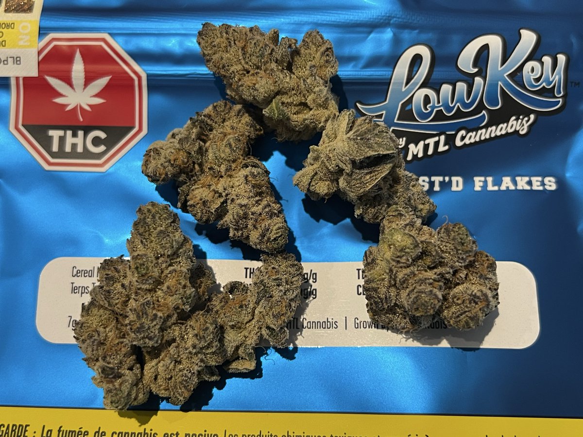 El Capitan 🔴🥦 tweet media