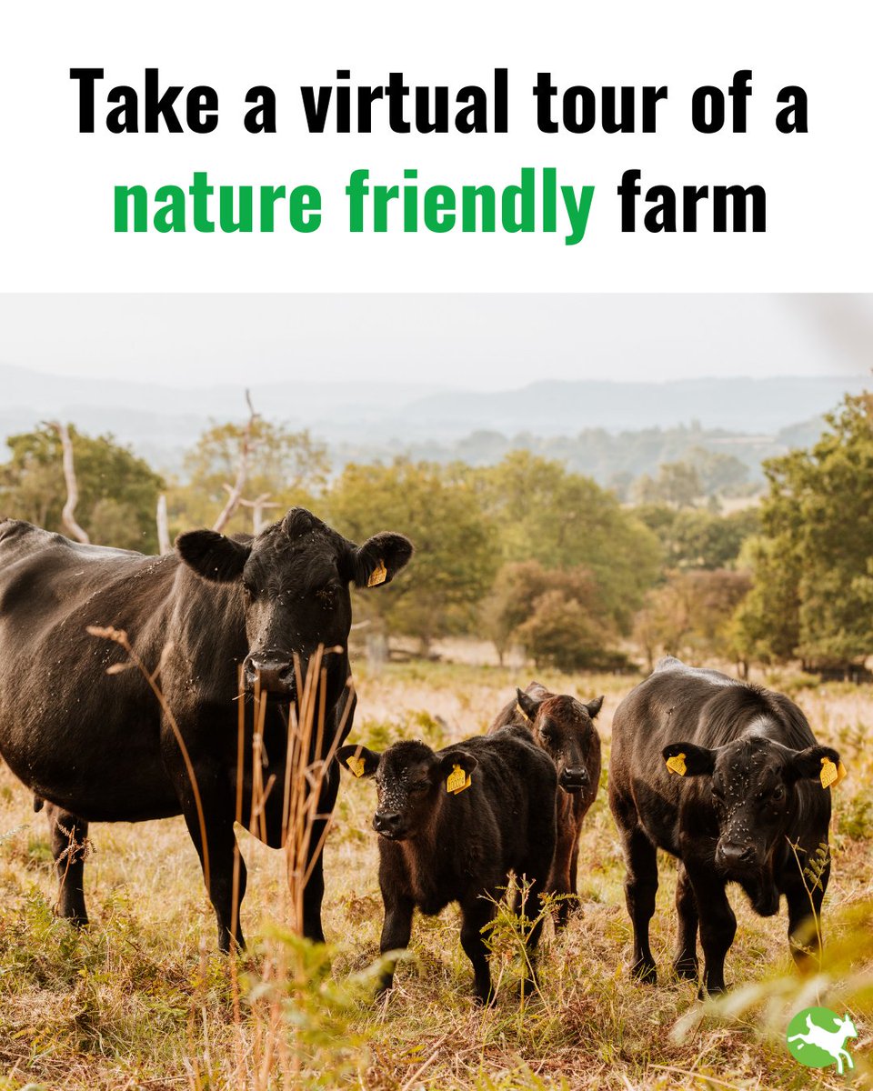 Compassion in World Farming UK tweet media