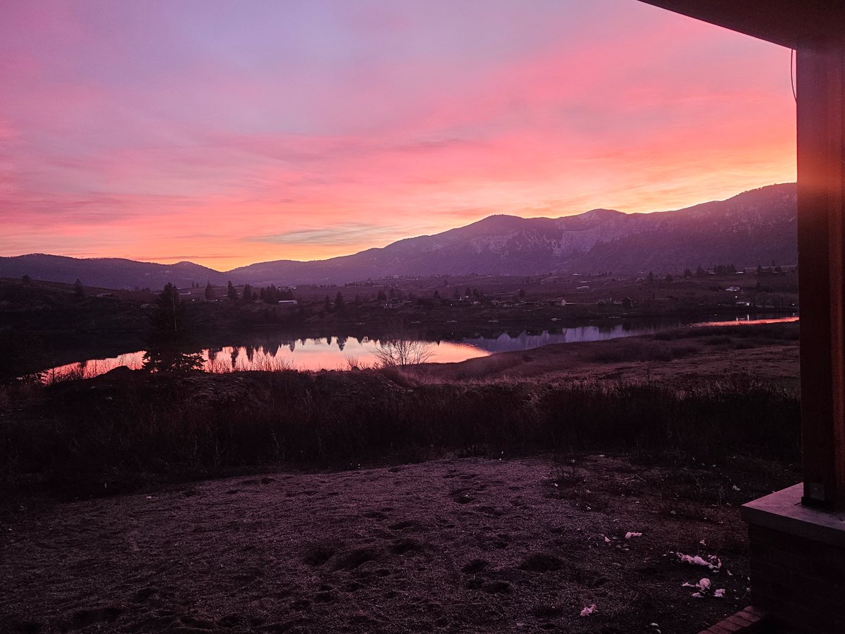 Aaron Noble tweet media