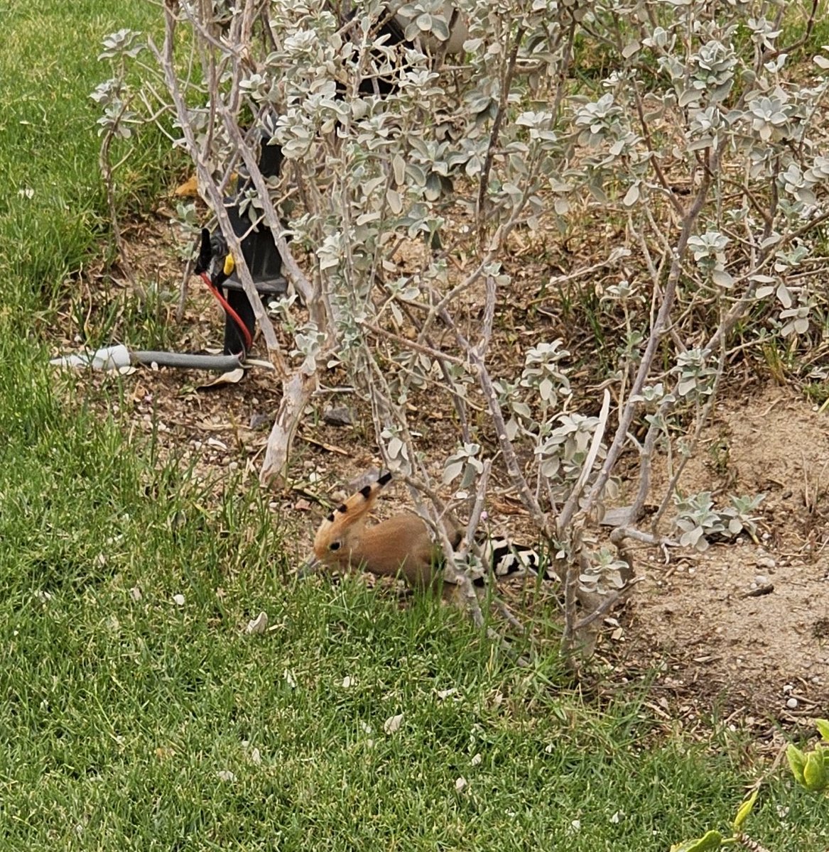 Marta Lokje tweet media