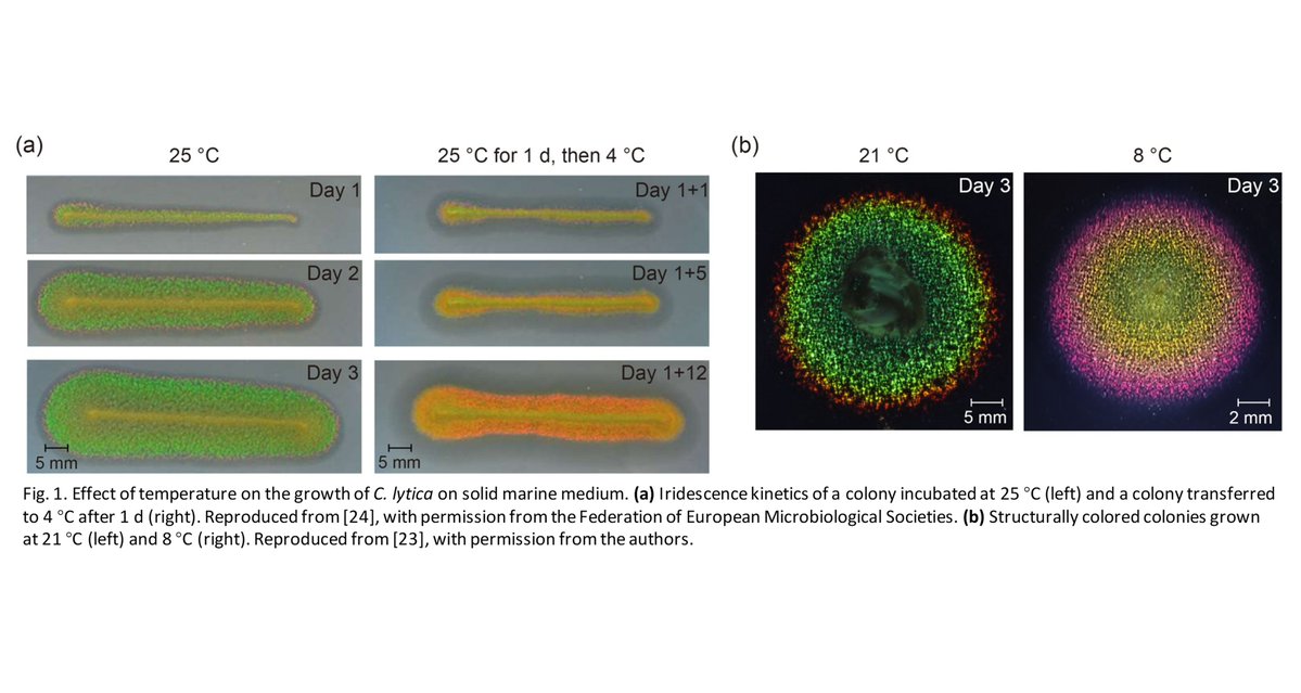 Bio-Design and Manufacturing tweet media