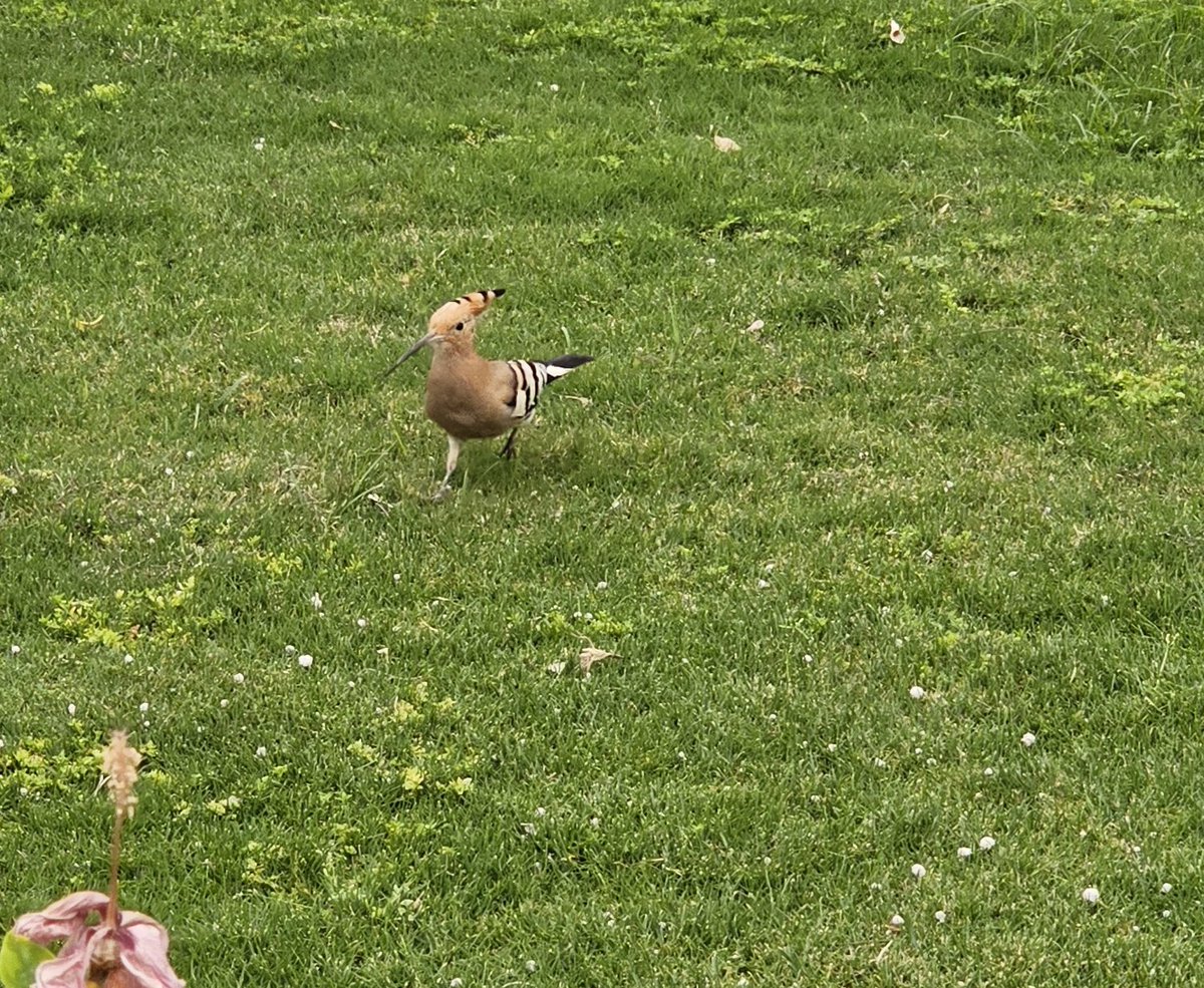 Marta Lokje tweet media