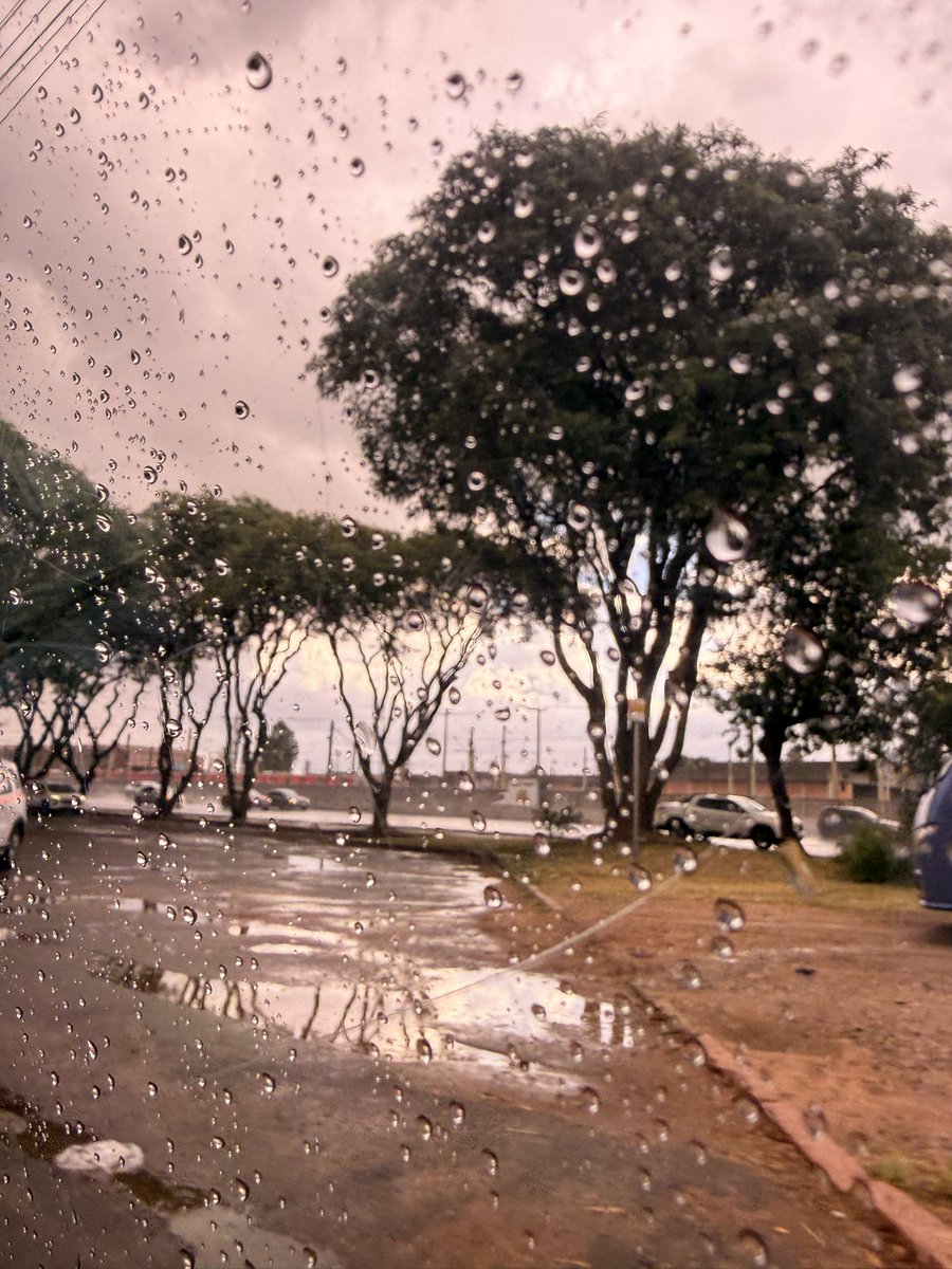 Gabrielle Gomes tweet media