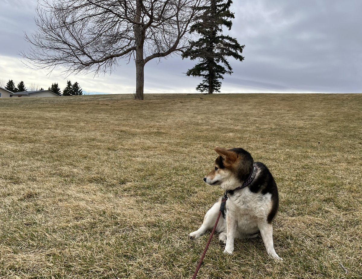 yuko 🍁 tweet media