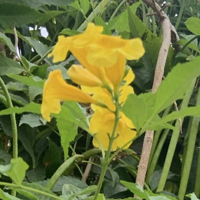 Oss5Slb's tweet photo. #NewProfilePic https://t.co/tPcKUXYNDO