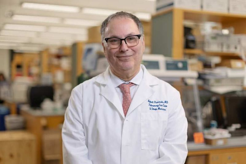 YaleMed's tweet image. A new study led by @YalePCCSM researchers reveals which types of #lung #cells are most dramatically affected by #aging, and suggests possible targets for preventing age related lung diseases. Learn more: bit.ly/4rq8dgA @YaleIMed @KaminskiMed