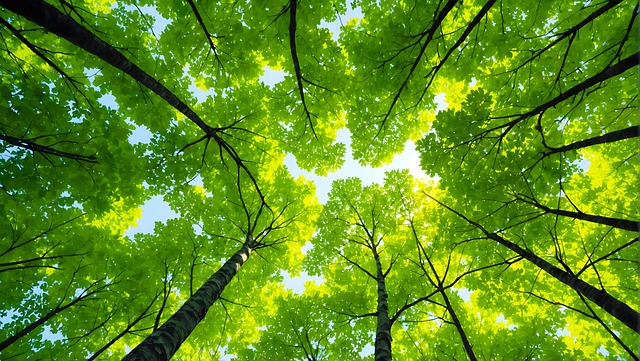 Meagan Graham tweet media