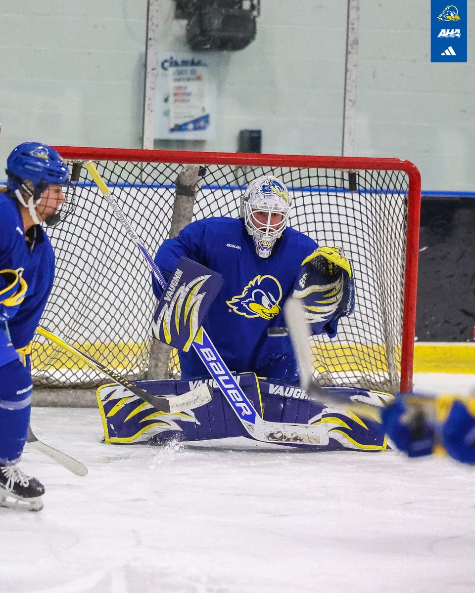 Delaware Ice Hockey tweet media