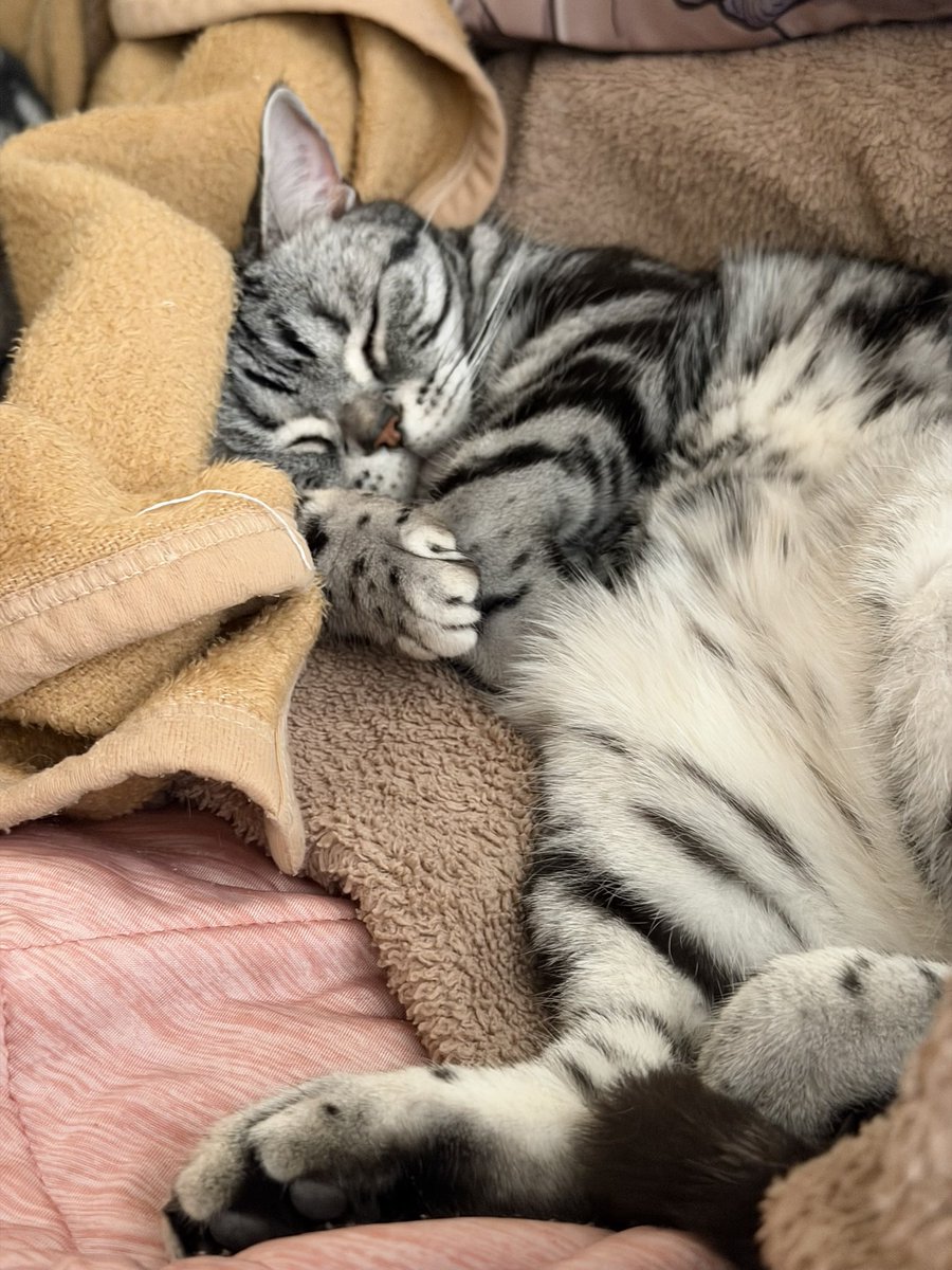 GoodTimesWithScar tweet media