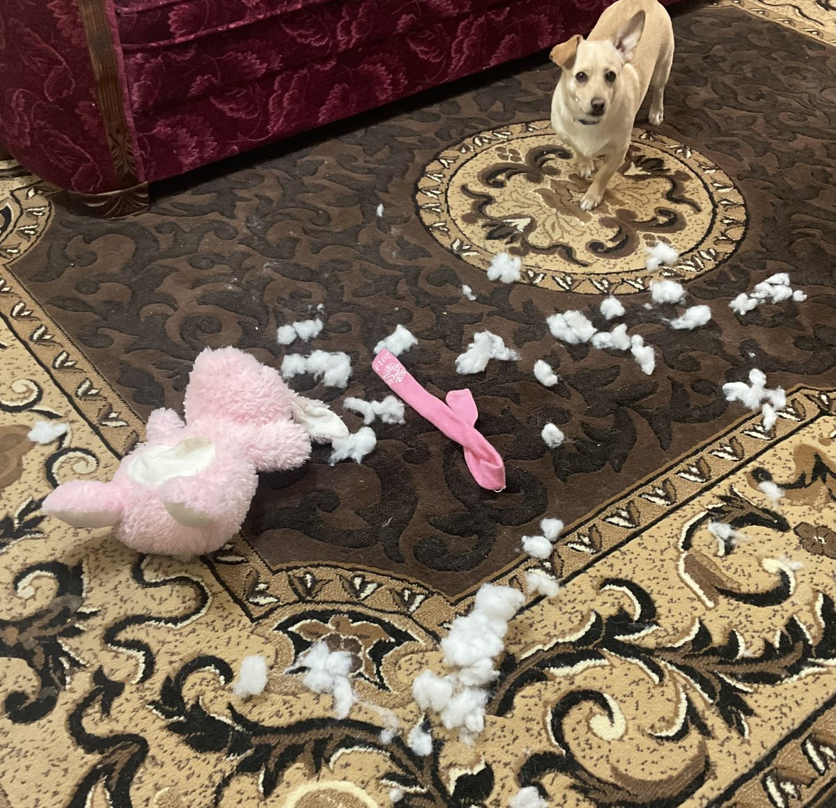 SaskLass tweet media