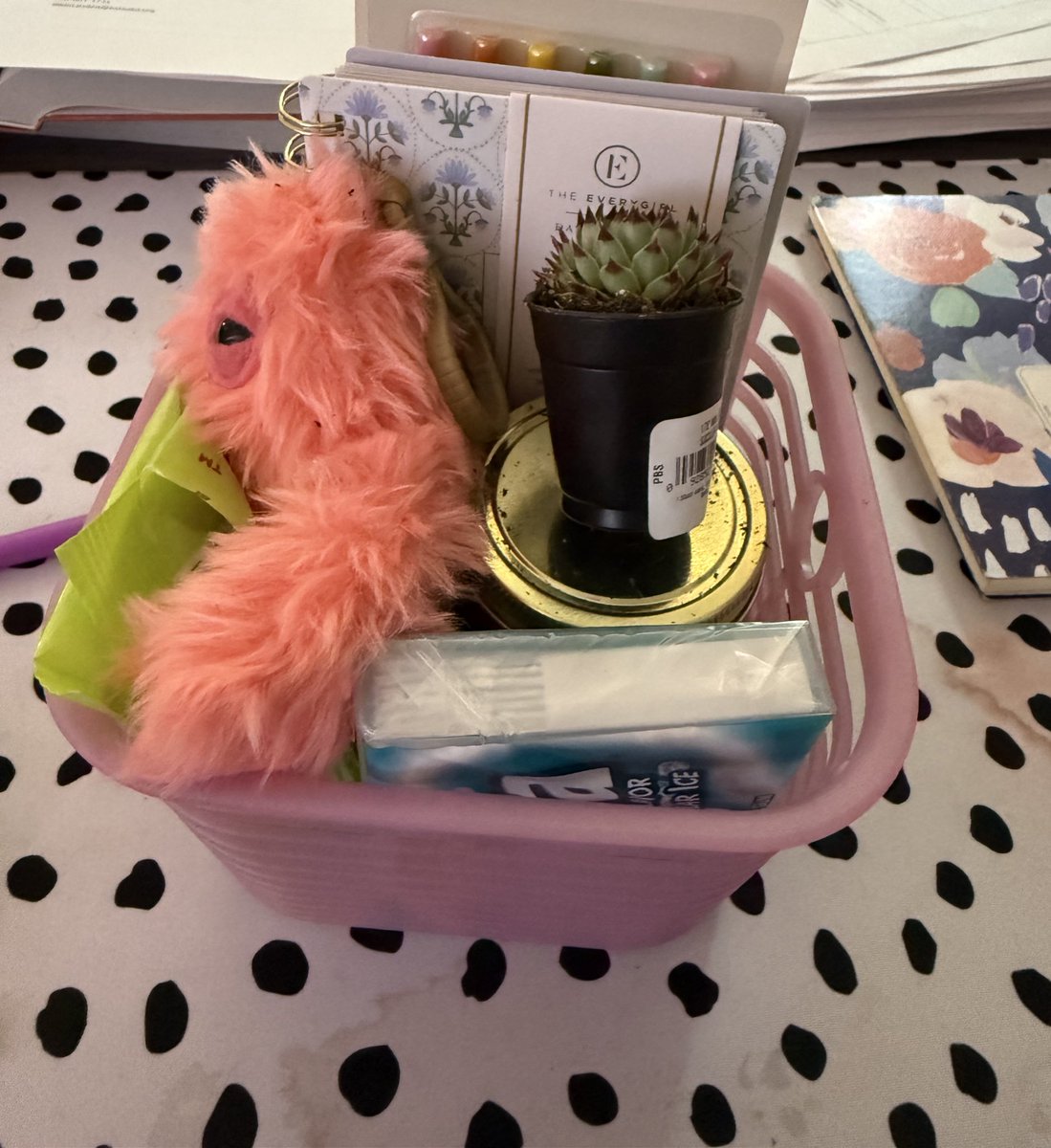 Tracy 🍎✏️🌊🌲 tweet media