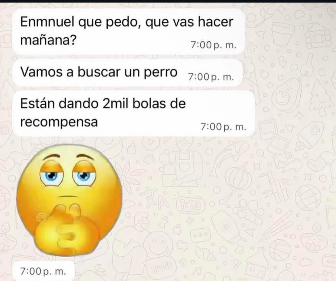 Dilo con perritos tweet media