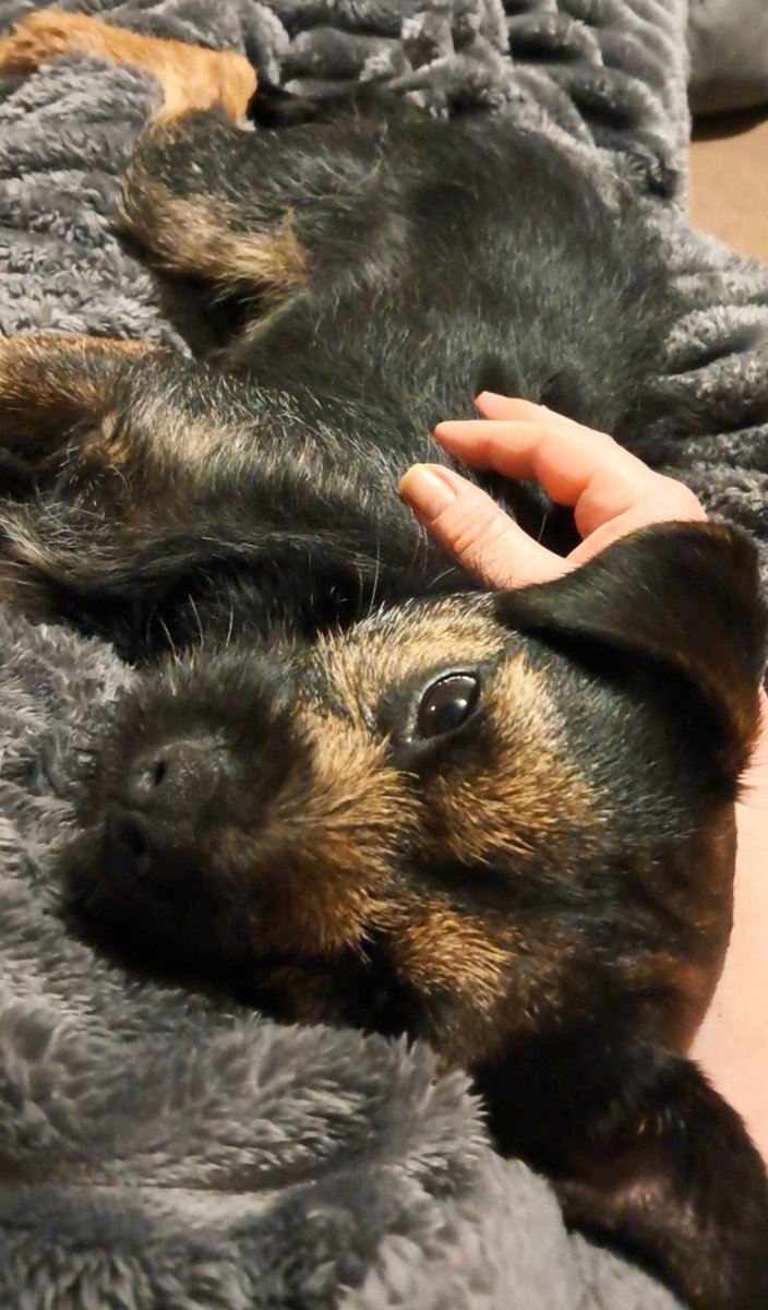 PEGGY🌈 NELLY AND BERTIE xxx tweet media