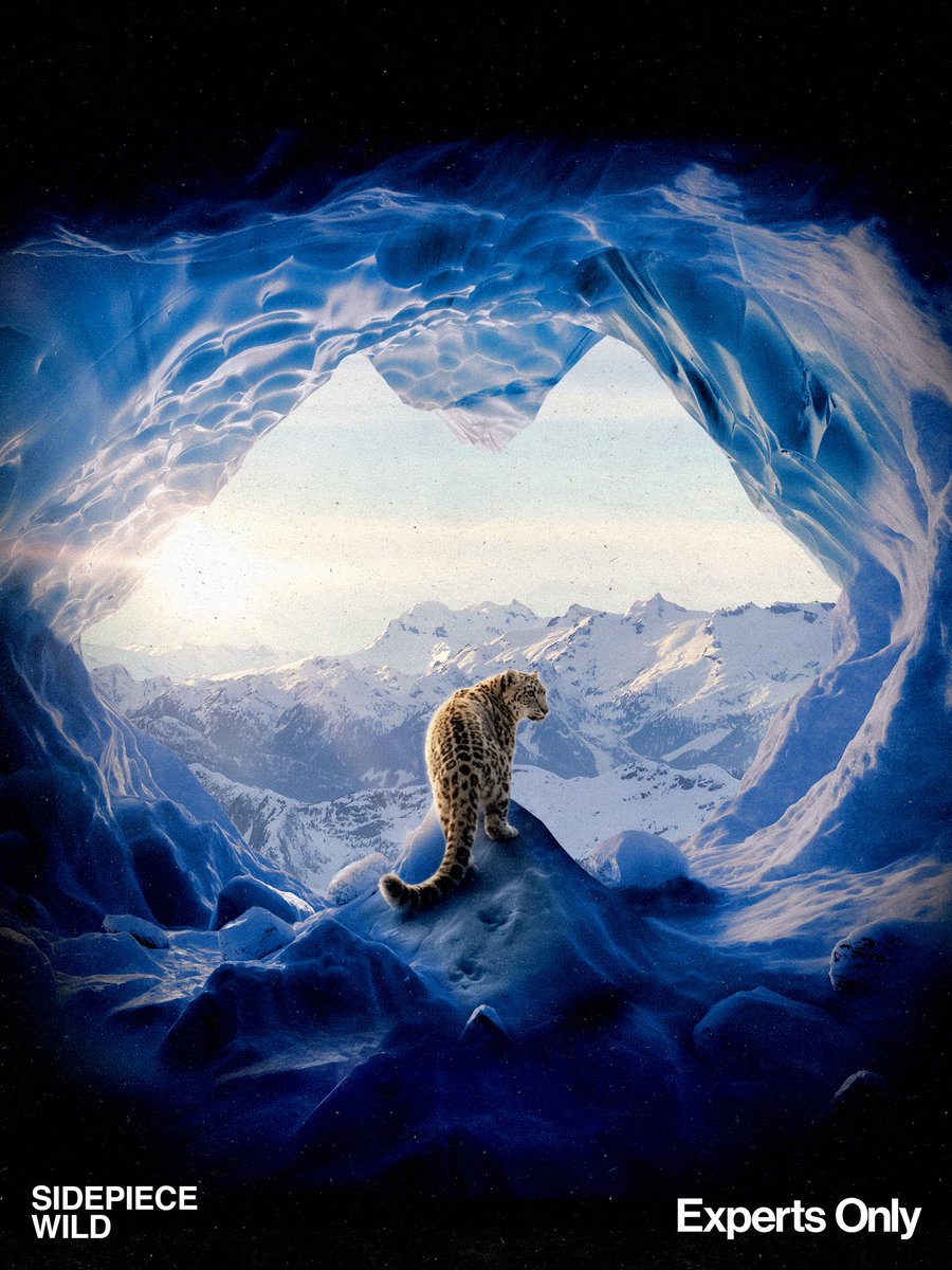youasidepiece's tweet photo. ‘WILD’ is officially out of the cage this Friday on @expertsonly 🐆 https://t.co/AHE4EwAFHu