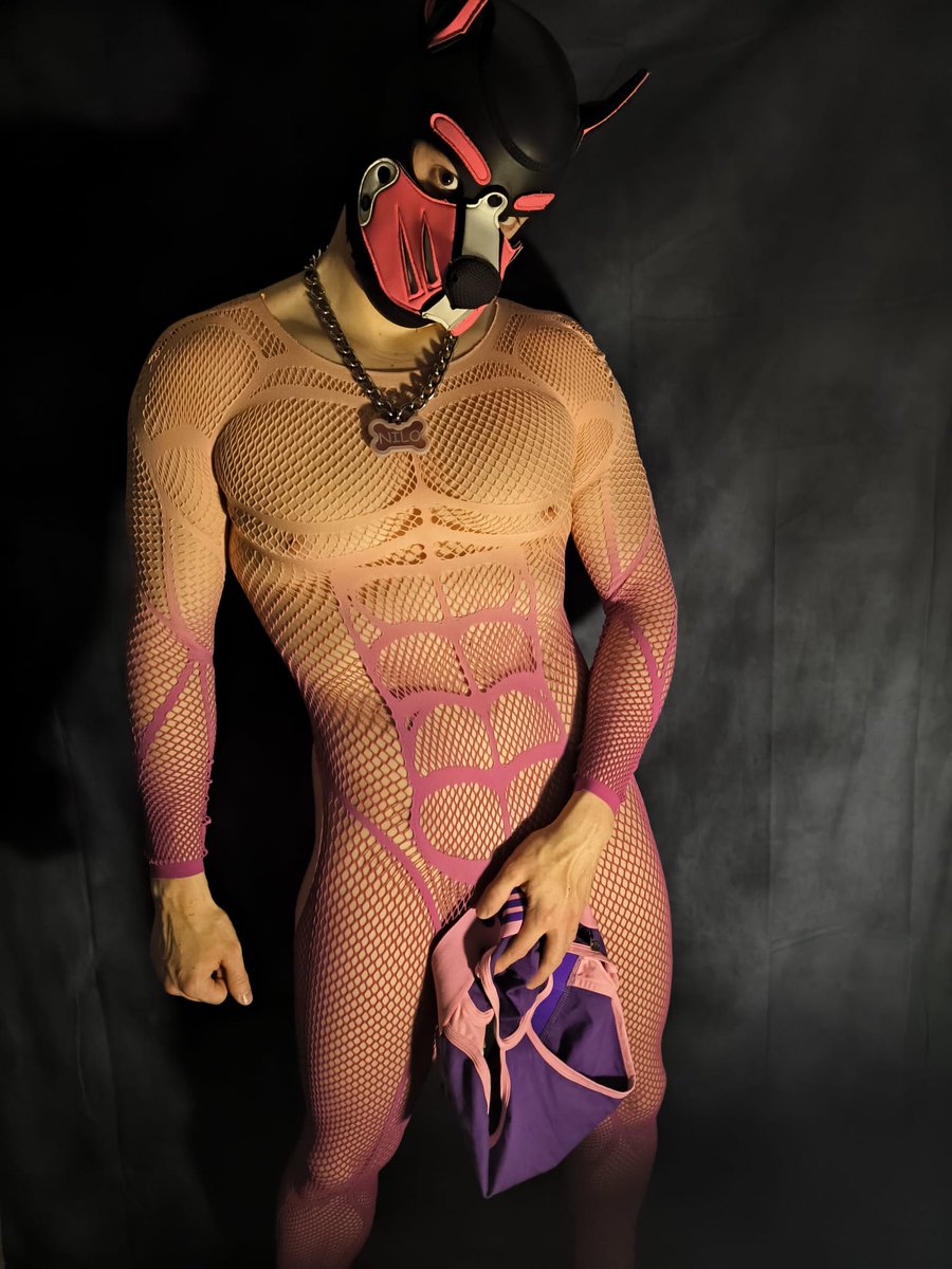 PuppyNilo tweet media