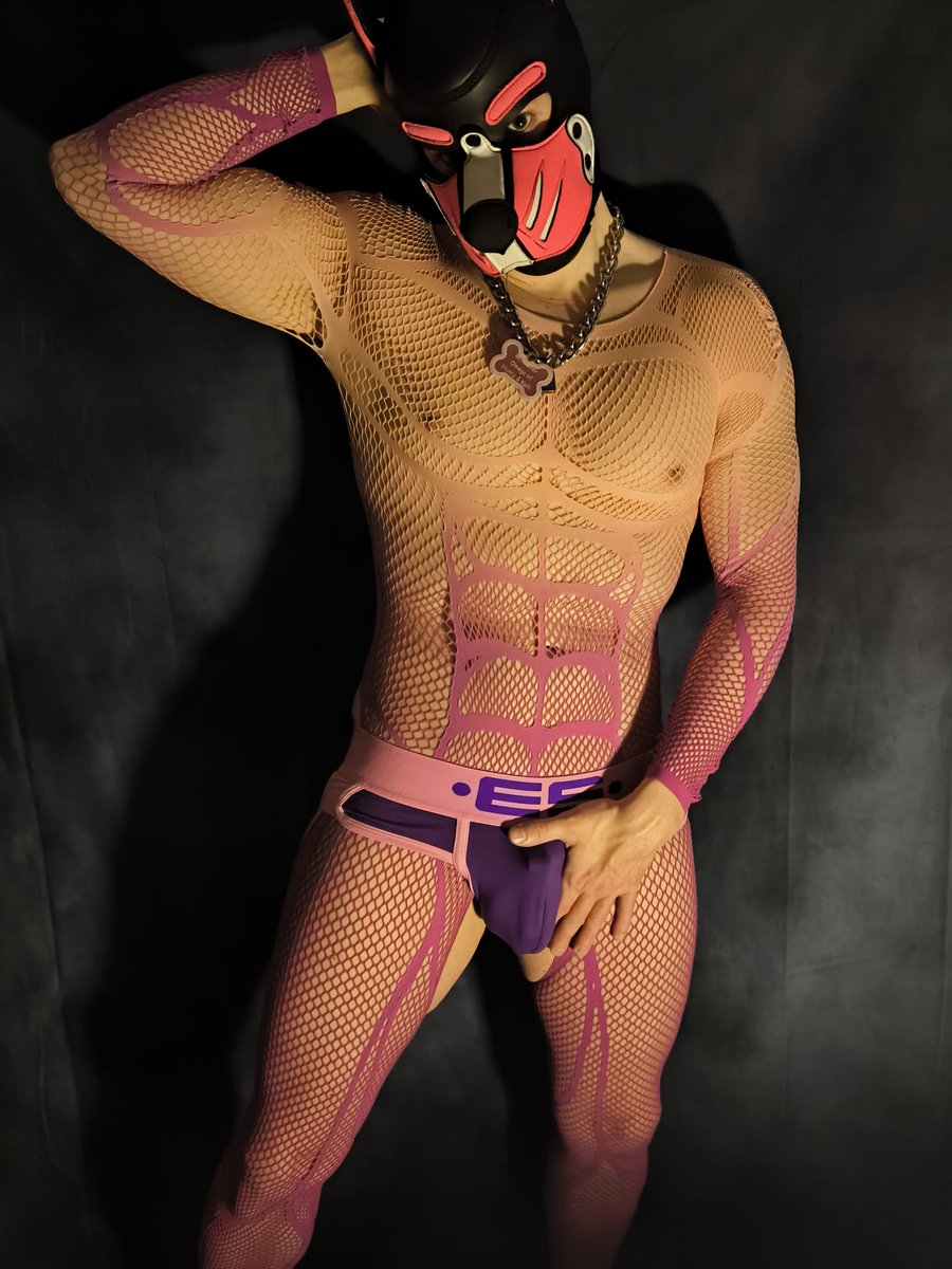 PuppyNilo tweet media