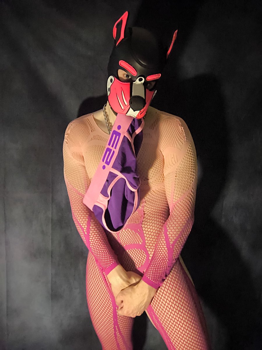 PuppyNilo tweet media