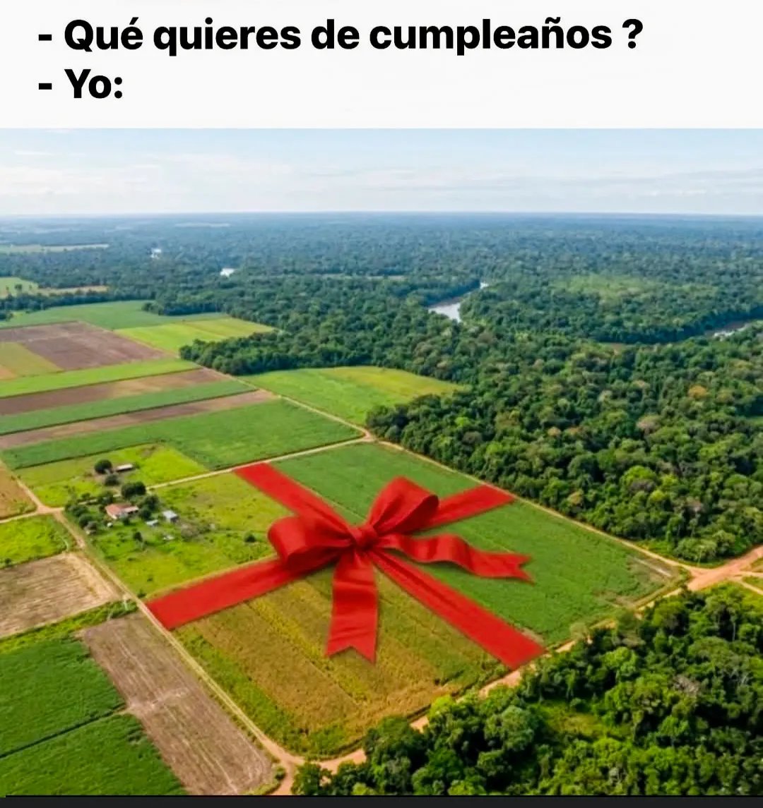 Rincón Curioso tweet media