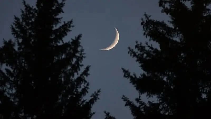 aboubacarybarma's tweet photo. #Niger
#Officiel: L'Aid el Fitr célébrée ce jeudi 19 mars au Niger
Le #Conseil_Islamique annonce que le croissant lunaire marquant la fin du mois #Ramadan et annonçant #Chawwal 1447H, a été aperçu ce mercredi, dans plusieurs localités: #Mirriah (#Zinder), #Baroua (#Diffa)... https://t.co/OoRyZow1z0
