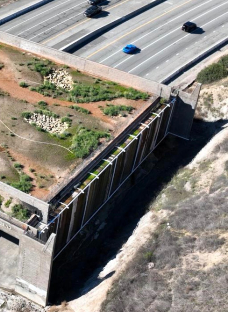 Lizzie Royale tweet media