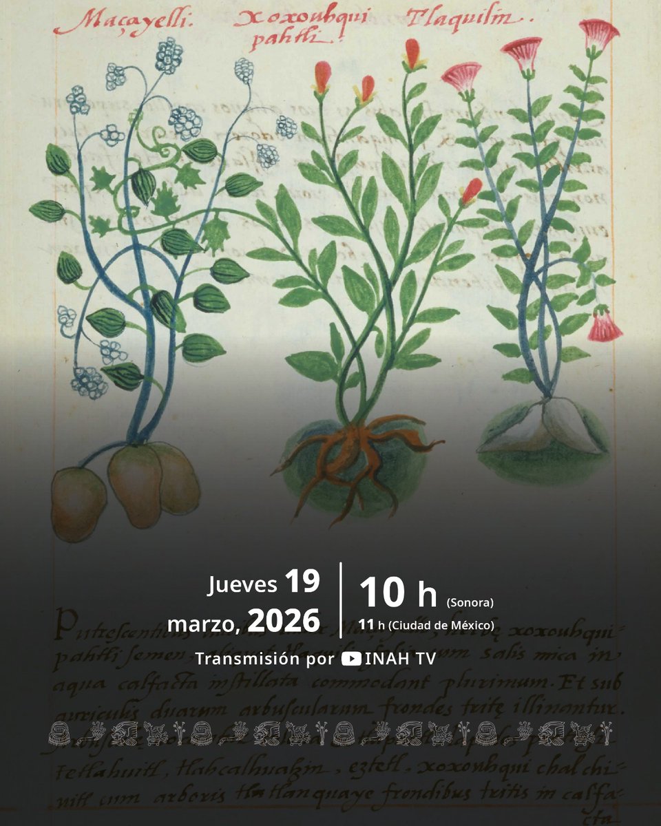 Centro INAH Sonora tweet media